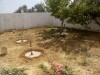 Grande Villa en pleine campagne à Kélibia