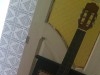 Guitare hibanoz