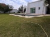 HAMMAMET 