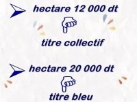 hectare 12 milles !!! hectare 20 milles 