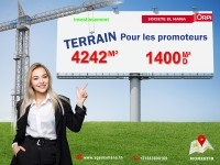 investissement Terrain pour les promoteurs omrane 