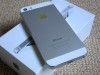iPhone 5 16Go Blanc