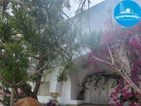 Jinen Aymen