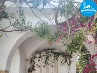 Jinen Aymen