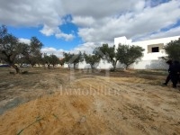 Joli terrain de 220 m² à vendre à 120 MD à Mrezga 