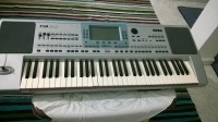 Korg Pa50 oriental avec set rai