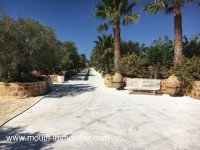 La Ferme Des Cactées T377 Hammamet 