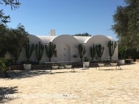 La Ferme Des Cactées T377 Hammamet 