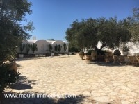 La Ferme Des Cactées T377 Hammamet 