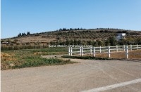 LA FERME DU CHEVALIER Ariana, Sidi Thabeut T870