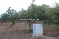 La Ferme T817 Hammamet 