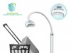 Lampe blanchiment des dents avec valise