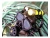 Lampe LED de sous la mer et chasse dans la foret