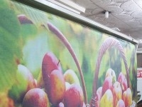 le store enrouleur personnalisée 