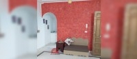 LOCATION REZ-DE-CHAUSSÉE MEUBLÉ - RÉF L575