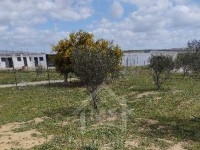 Lot de terrain clôturé à vendre 51355351