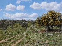Lot de terrain clôturé à vendre 51355351