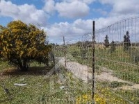 Lot de terrain clôturé à vendre 51355351
