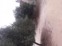 Lot de terrain de 232 m2 a 110 mdt