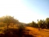 Lot de terrain Sanhaja III