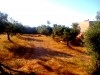 Lot de terrain Sanhaja III