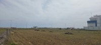 lotissement à vendre à kélibia 