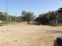 lotissement de 281m2 a 349m2 mrezga