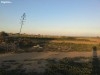 Maamoura, terrain nu en face de la plage