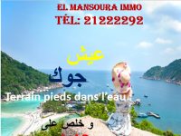 magnifique terrain front mer 