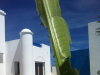 Maison  vue de mer à Djerba 