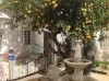 Maison Au Belvédère de Tunis- 800 000 dt