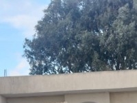 maison avec un garage à vendre
