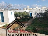 maison avec un grand jardin