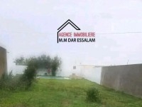 maison avec un studio et un piscine 