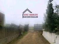 maison avec un studio et un piscine 