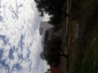 Maison de 270 m2 a 150 mdt