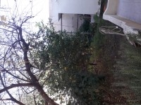 Maison de 300 m2 a 160 mdt
