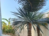 Maison d'hôtes à vendre à 1400 MD à Hammamet 