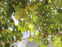 maison indépendante près de toutes commodités 