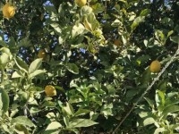 maison indépendante près de toutes commodités 