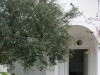 MAISON LA PANTHERE L110 ZONE CORNICHE 
