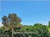 Maison Le Tilleul ref AL1328 Hammamet