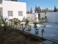 Maison Les Colombes AL799 Hammamet Nord 