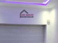 maison moderne avec un garage