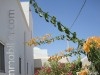 maison pas cher a djerba