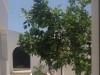 Maison plein pied cite les pins