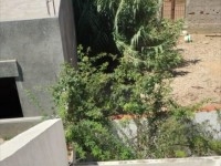 maison R1 à el haouaria
