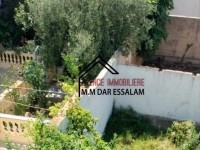 maison R1 à el haouaria