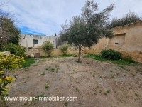 MAISON RANA Hammamet La Corniche AL3701