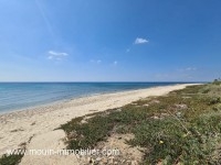 MAISON ROSETTE Maamoura AV1533